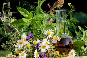 Phytothérapie - Se soigner par des moyens naturels - Karine Vanpoperinghe - naturopathe Paris 11 et 12